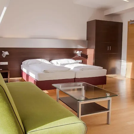 Hotel Schwarzer Baer Linz