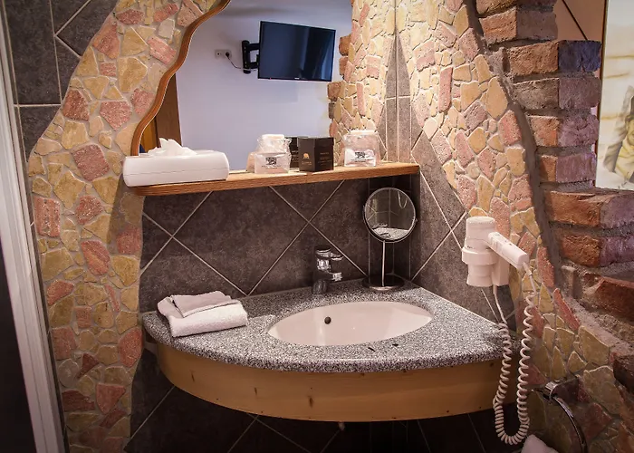 Hotel Schwarzer Baer 4*