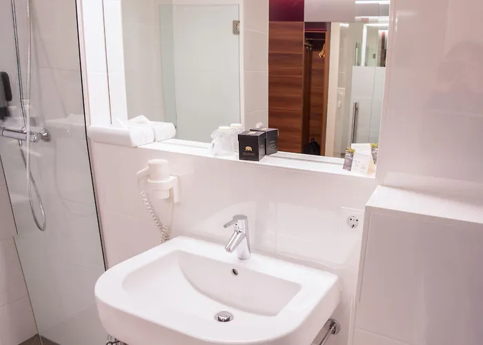 Hotel Schwarzer Baer Linz