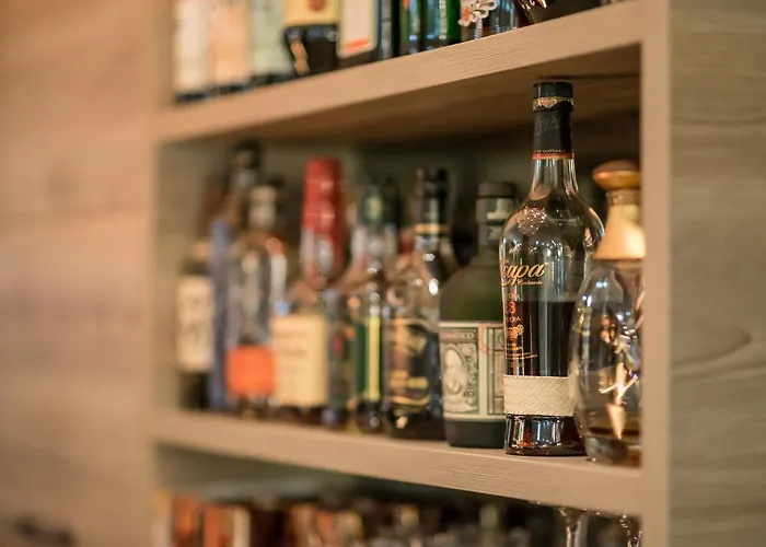 施瓦茨巴尔酒店